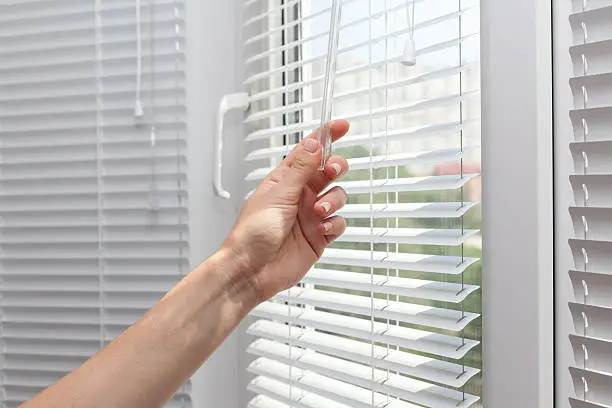 Vinyl Blinds